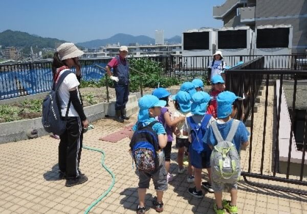 保育園の子供たちとさつま芋作り